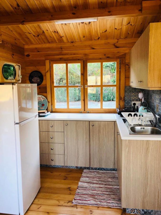Happy Glamping Cy Villa Agios Theodoros ภายนอก รูปภาพ