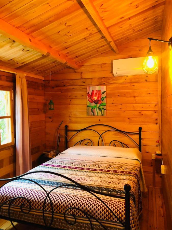 Happy Glamping Cy Villa Agios Theodoros ภายนอก รูปภาพ