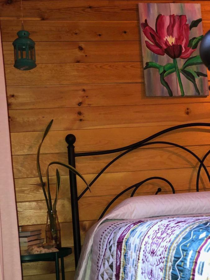 Happy Glamping Cy Villa Agios Theodoros ภายนอก รูปภาพ