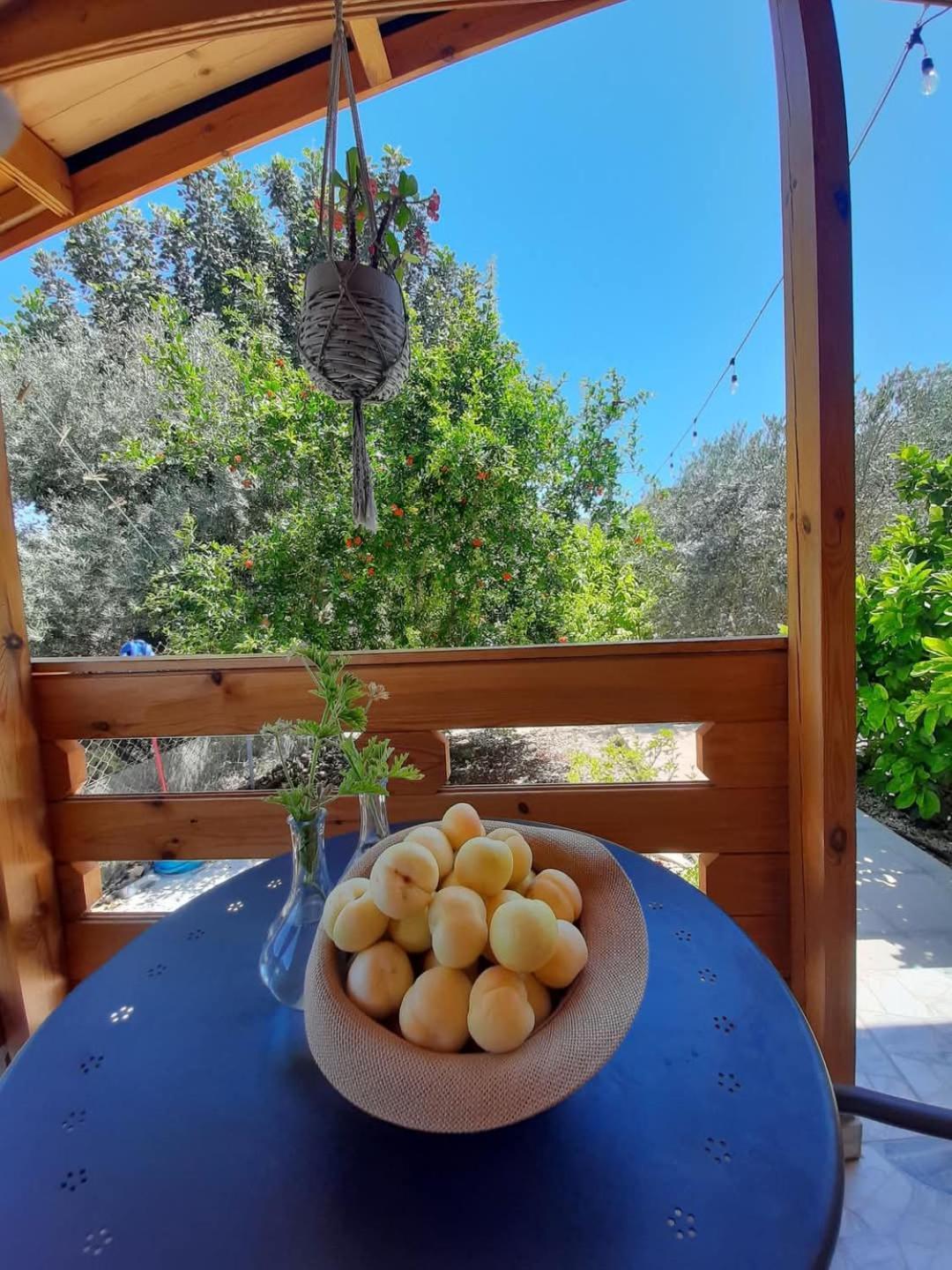 Happy Glamping Cy Villa Agios Theodoros ภายนอก รูปภาพ